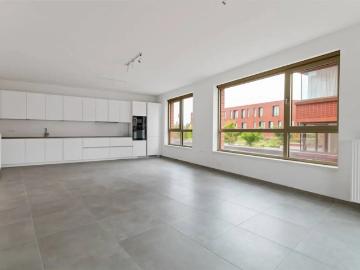 2300, Turnhout, Province de Anvers, Flandre