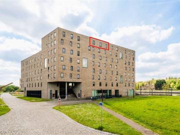 1800, Vilvorde, Hal-Vilvorde, Flandre