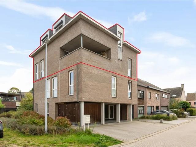 à vendre Appartement Vosselaar Salamanderstraat