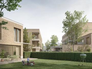 8790, Waregem, Arrondissement de Courtrai, Flandre