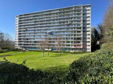 1731, Asse, Hal-Vilvorde, Flandre - Kelder