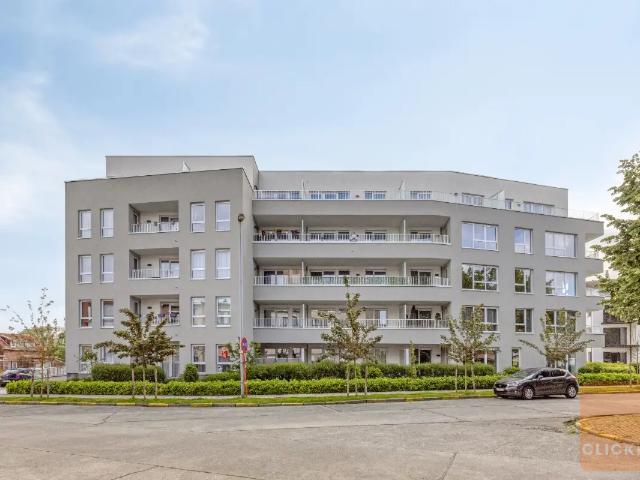 à vendre Appartement Zellik Frans Timmermansstraat