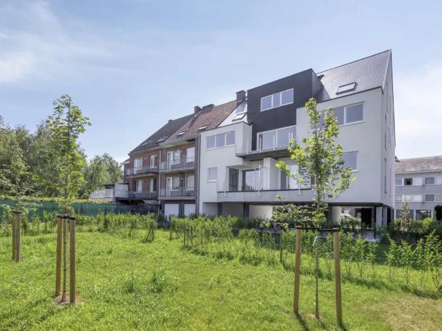 à vendre Appartement Zellik Hoogtepunt