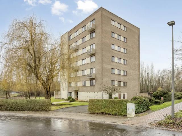 à vendre Appartement Zellik Wilgendaal