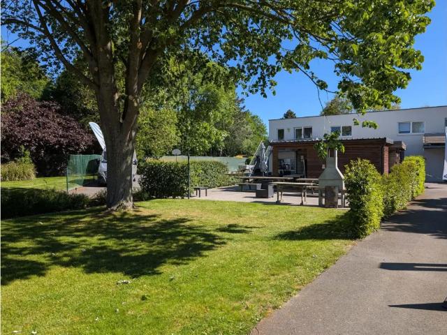 à vendre Appartement Zottegem