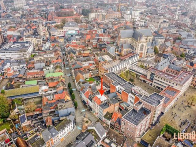à vendre Appartement Alost Lange Zoutstraat