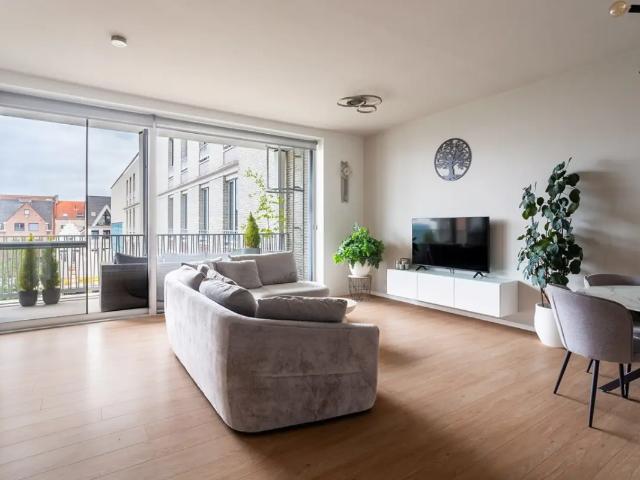 à vendre Appartement Anvers Falco de Lampageplein