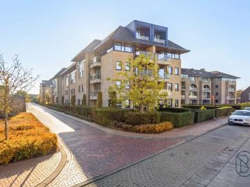 9700, Audenarde, Flandre orientale, Flandre