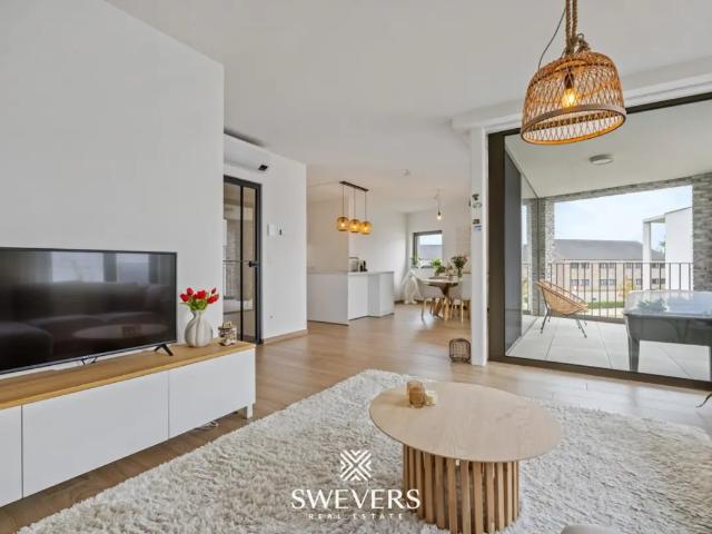 à vendre Appartement Beringen August Cuppensstraat
