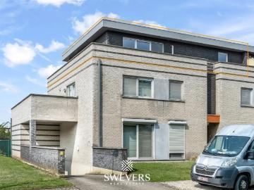 à vendre Appartement Beringen Broekhovenstraat