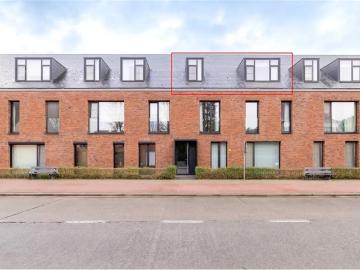 2590, Arrondissement de Malines, Province de Anvers, Flandre
