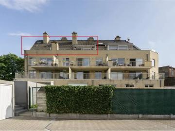 2850, Arrondissement de Anvers, Province de Anvers, Flandre