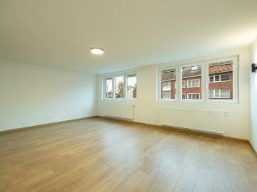 2850, Arrondissement de Anvers, Province de Anvers, Flandre
