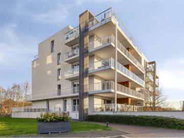 2850, Arrondissement de Anvers, Province de Anvers, Flandre