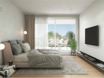 2850, Arrondissement de Anvers, Province de Anvers, Flandre