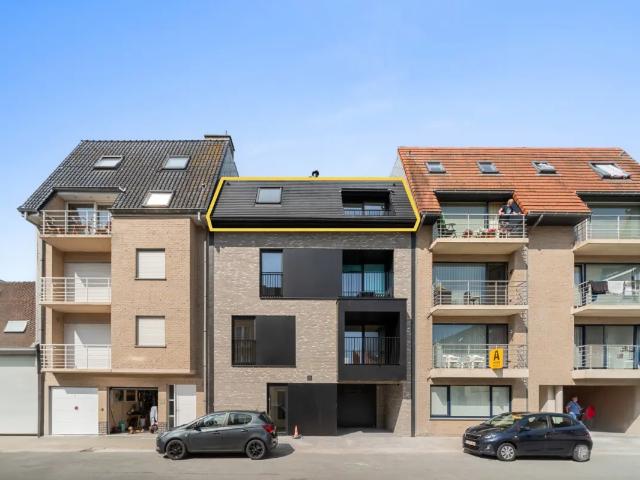 à vendre Appartement Bredene Hasseltstraat
