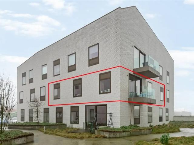 à vendre Appartement Breendonk Molenheide