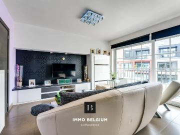 8420, Le Coq, Flandre-Occidentale, Flandre