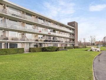 8420, Le Coq, Flandre-Occidentale, Flandre