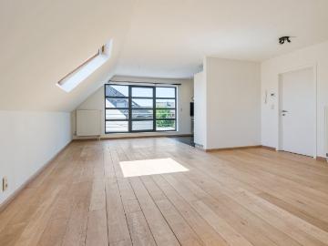 9200, Termonde, Flandre orientale, Flandre