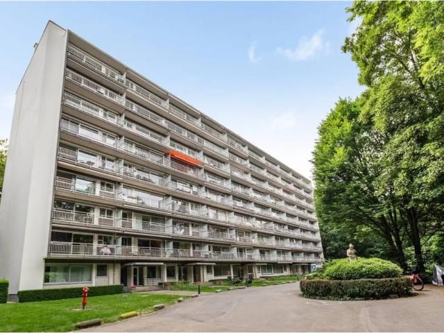 à vendre Appartement Edegem Hovestraat