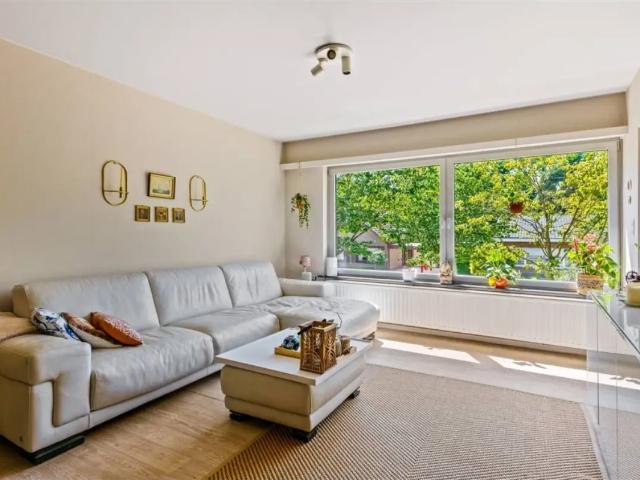 à vendre Appartement Edegem Willem Herreynsstraat