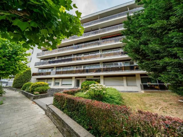 à vendre Appartement Evere Avenue du Renouveau