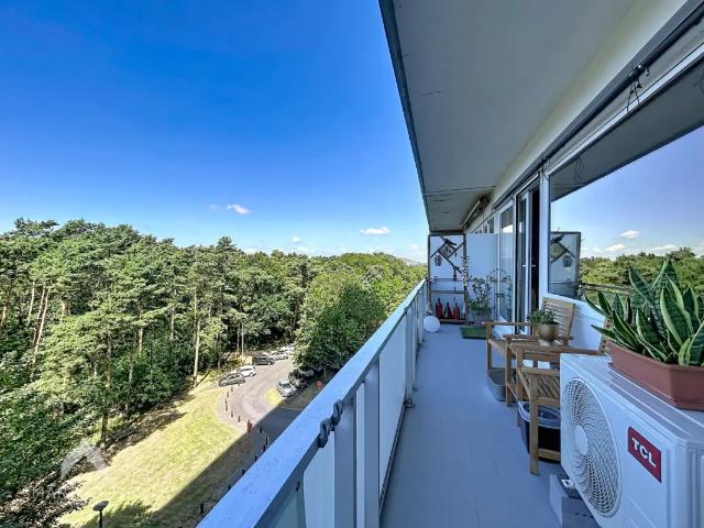 à vendre Appartement Genk Zonneweeldelaan