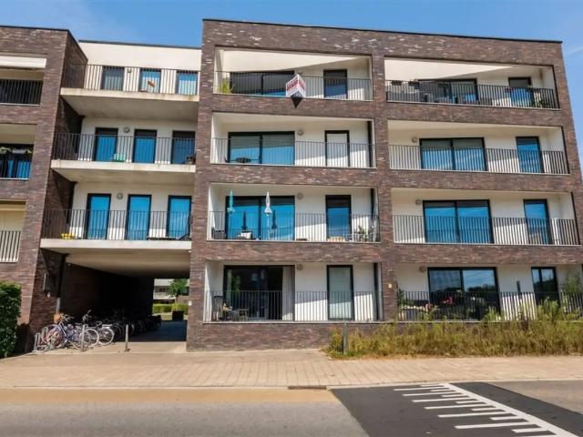 à vendre Appartement Geel Meuldersplein