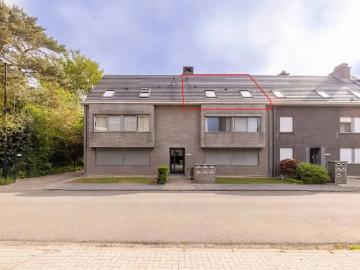 à vendre Appartement Geel Tulpenstraat