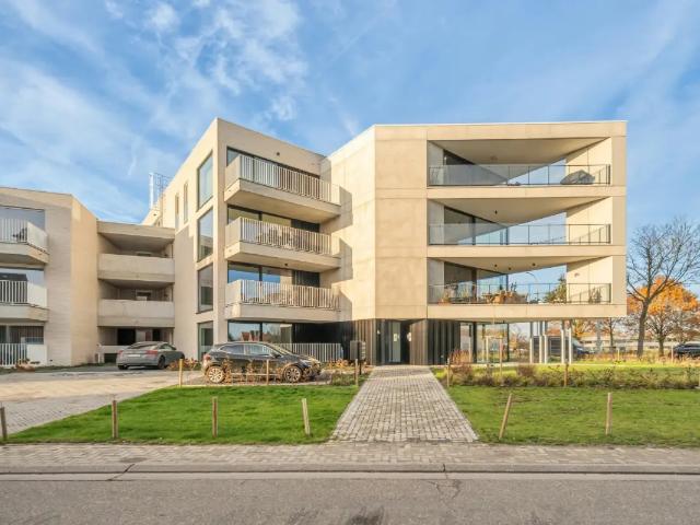 à vendre Appartement Halen Singellaan