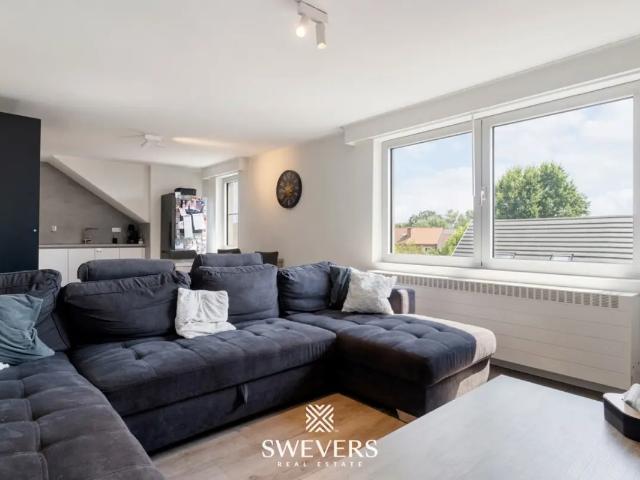 à vendre Appartement Hasselt Acaciastraat