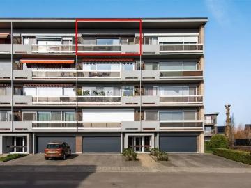 2620, Arrondissement de Anvers, Province de Anvers, Flandre