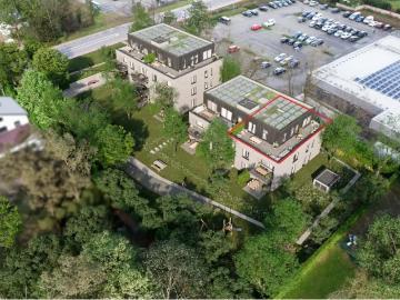 3940, Hechtel-Eksel, Limbourg, Flandre, Flandre