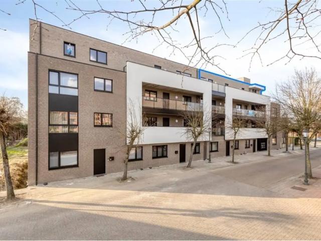 à vendre Appartement Heppen oud strijdersstraat