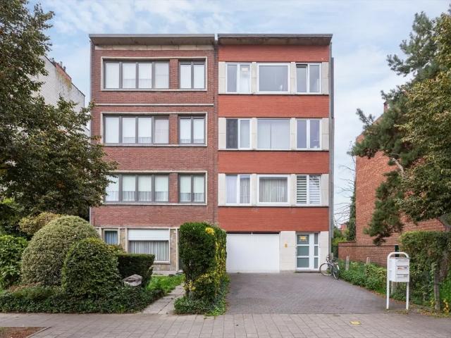 à vendre Appartement Hoboken Grasmuslaan