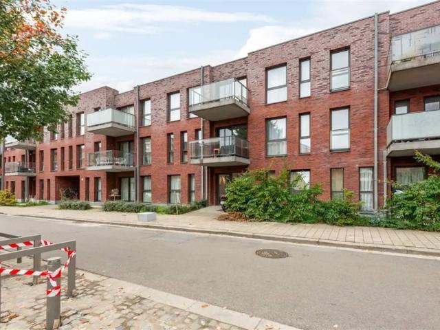 à vendre Appartement Hoboken Hollebeekstraat
