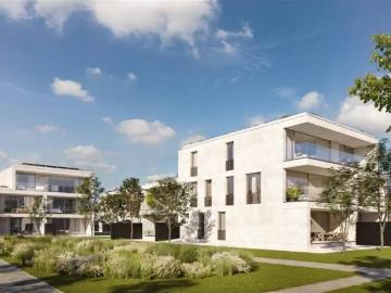 3582, Beringen, Arrondissement de Hasselt, Hasselt