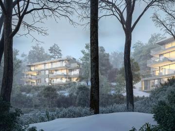 1310, Brabant wallon, Wallonie - Terras