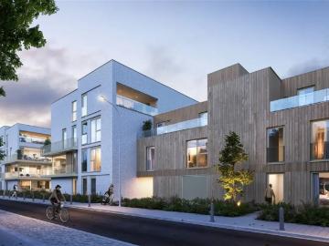 3920, Arrondissement de Maaseik, Limbourg, Flandre, Flandre