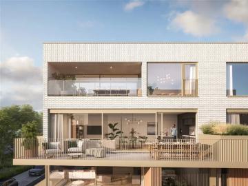 3920, Arrondissement de Maaseik, Limbourg, Flandre, Flandre