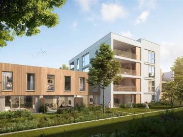 3920, Arrondissement de Maaseik, Limbourg, Flandre, Flandre