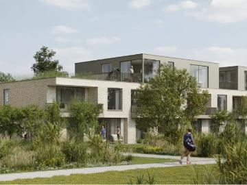 3920, Arrondissement de Maaseik, Limbourg, Flandre, Flandre