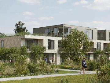 3920, Arrondissement de Maaseik, Limbourg, Flandre, Flandre