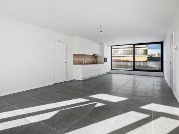 2450, Arrondissement de Turnhout, Province de Anvers, Flandre