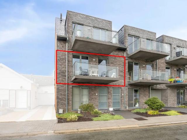 à vendre Appartement Ninove Vlinderlaan