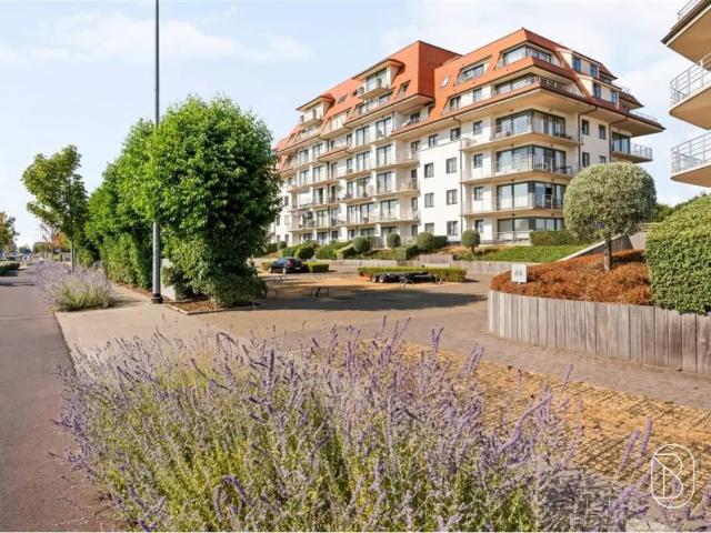 à vendre Appartement Nieuwpoort Albert I laan