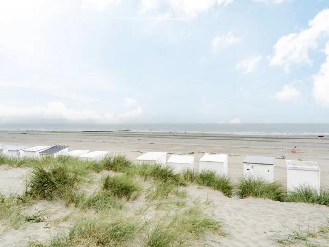 à vendre Appartement Nieuwpoort Zeedijk