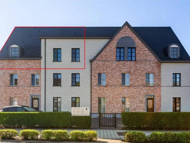 à vendre Appartement Oevel Loofven