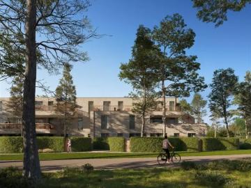 2250, Arrondissement de Turnhout, Province de Anvers, Flandre